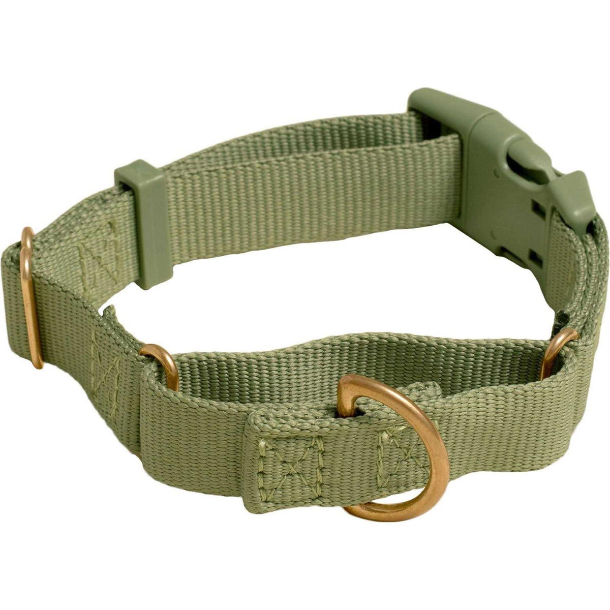 Martingale Dog Collar E4987