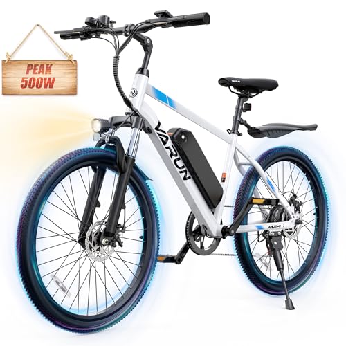 Electric Bike 350W 36V Removable Battery 24'' Mountain Bike J555755