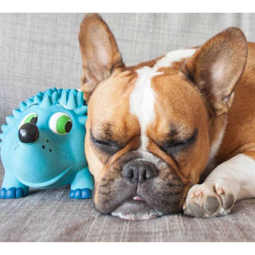 Dog Toy Q2384