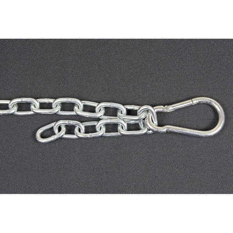 Chew Proof Dog Tether Chain Pet Leash Harness P865
