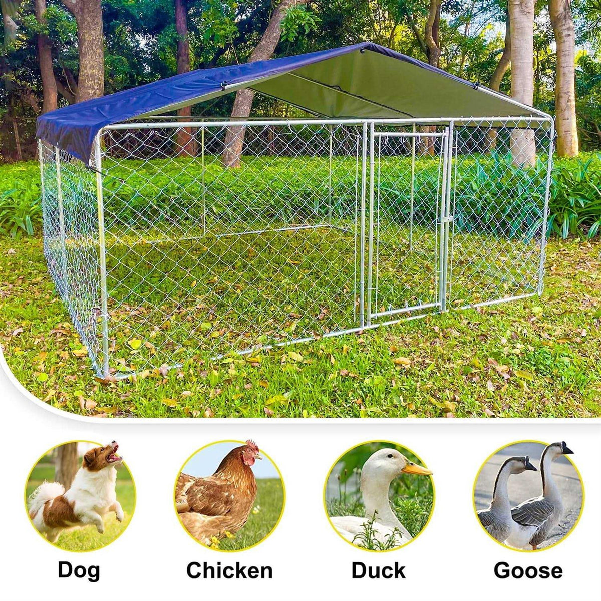 10ft x 10ft Metal Dog Kennel with Roof R32241