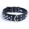 Dog Collar V556881