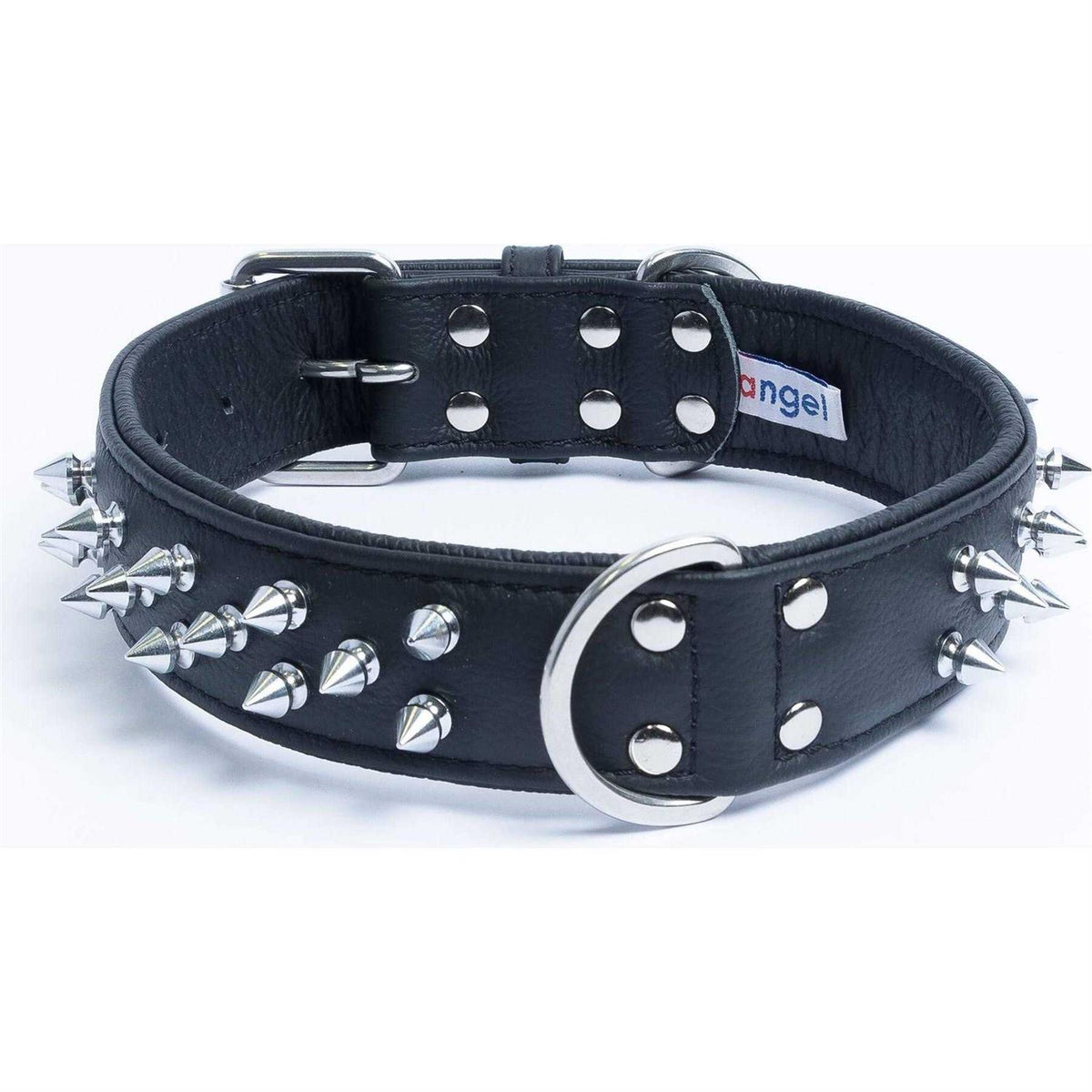 Dog Collar V556881