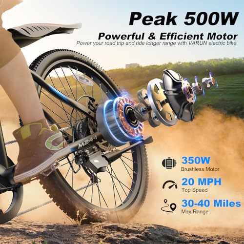 Electric Bike 350W 36V Removable Battery 24'' Mountain Bike J555755